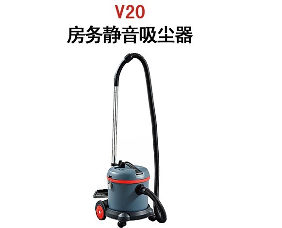 V20